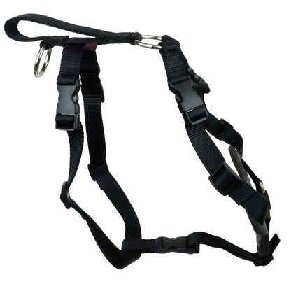 Nylon and Leather Harness