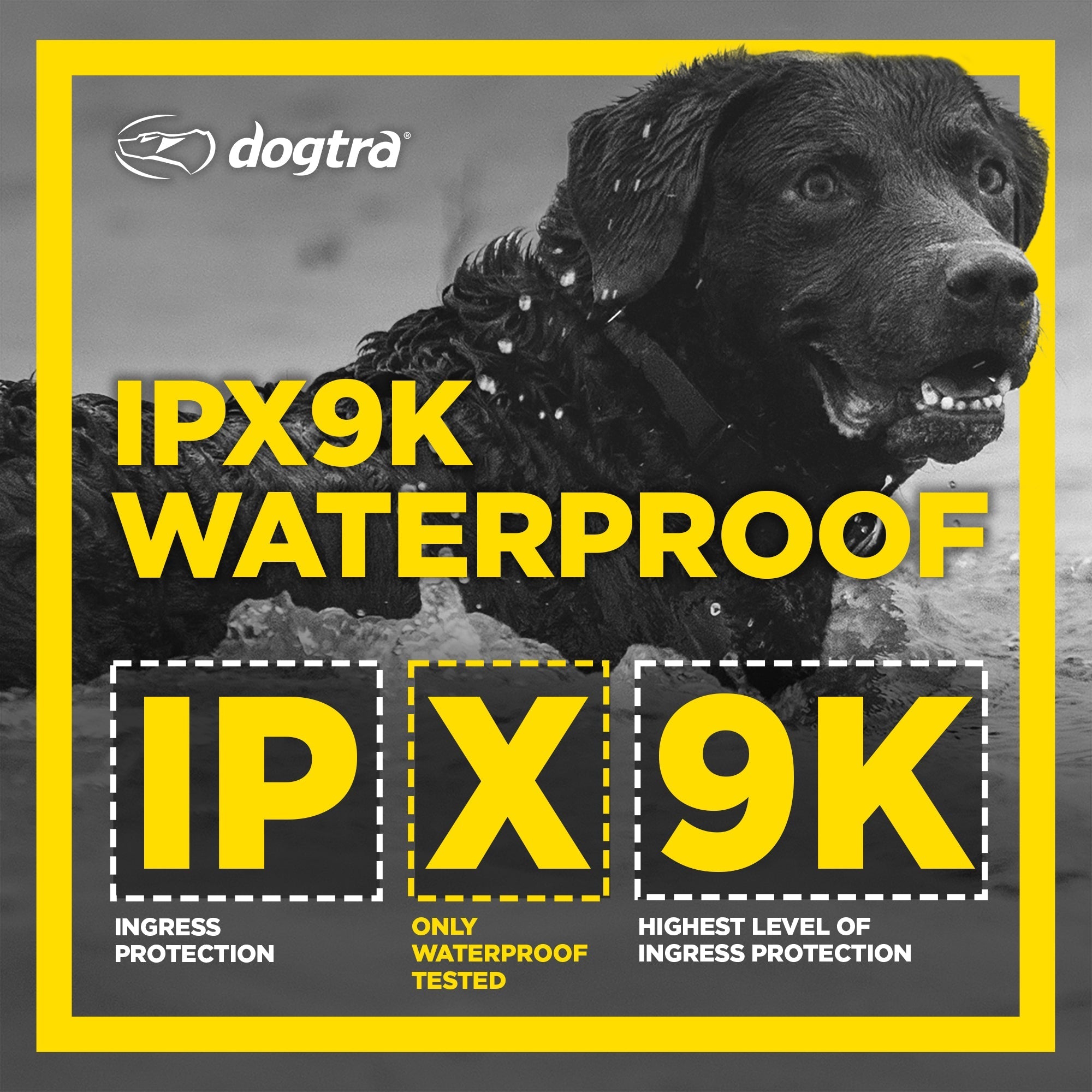 Dogtra 1900S Black Edition Boost Lock DogSport Gear Canada