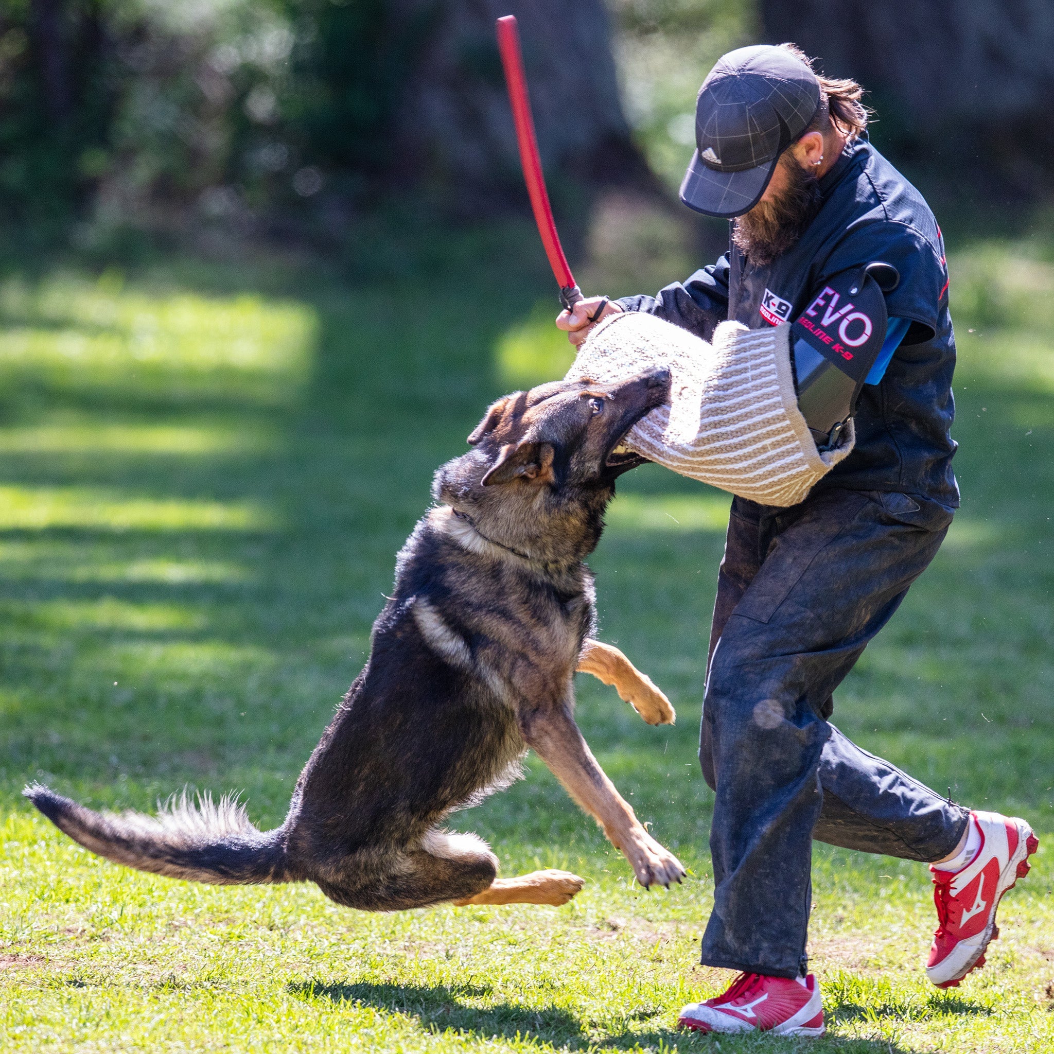 Redline canine hot sale training