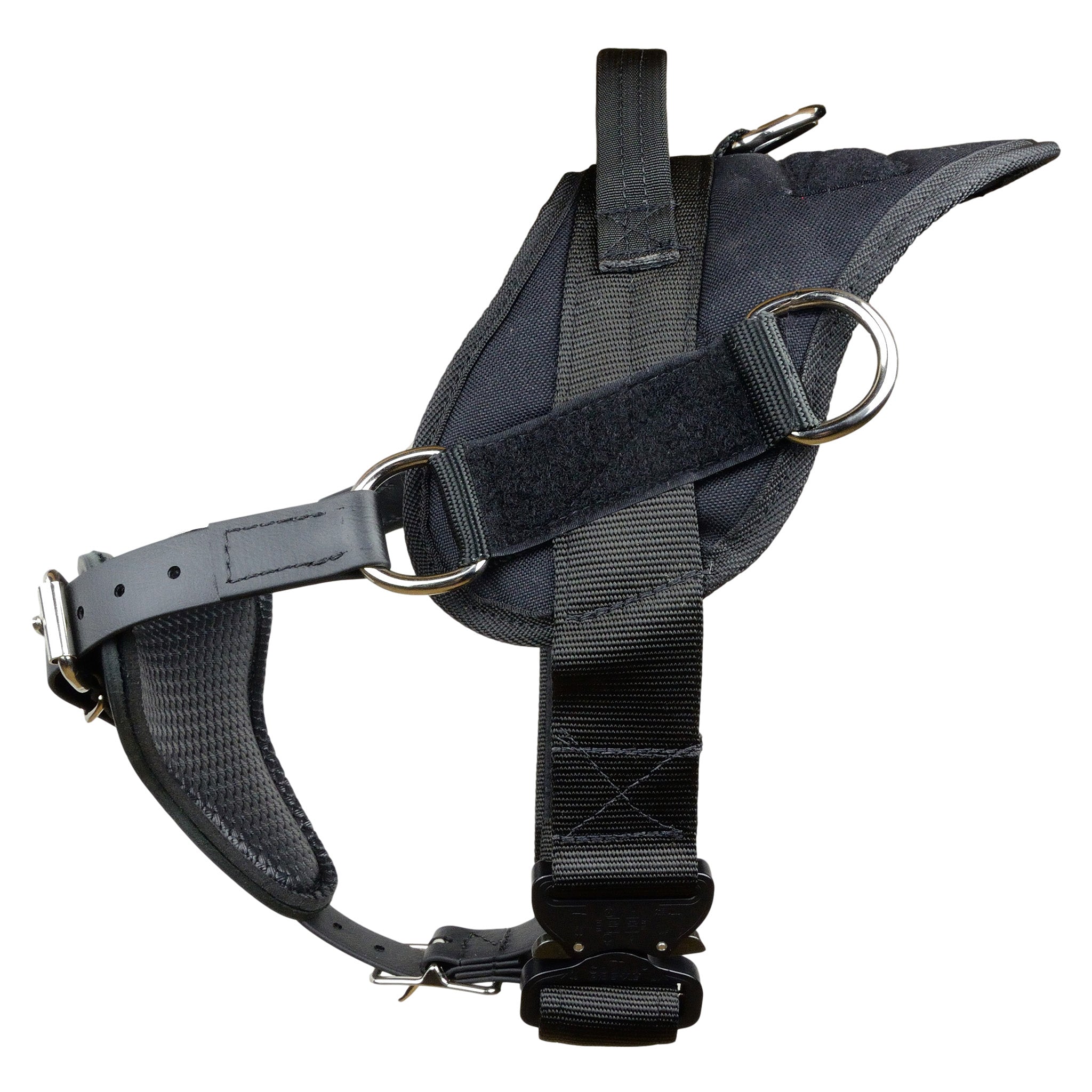 Cobra buckle dog sales leash